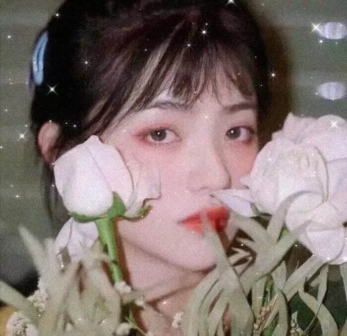 齐姆与友